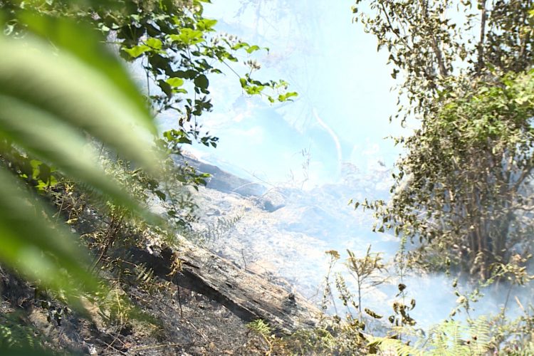 1628959438 SA 00 01 38 06 Still001 750x500 1