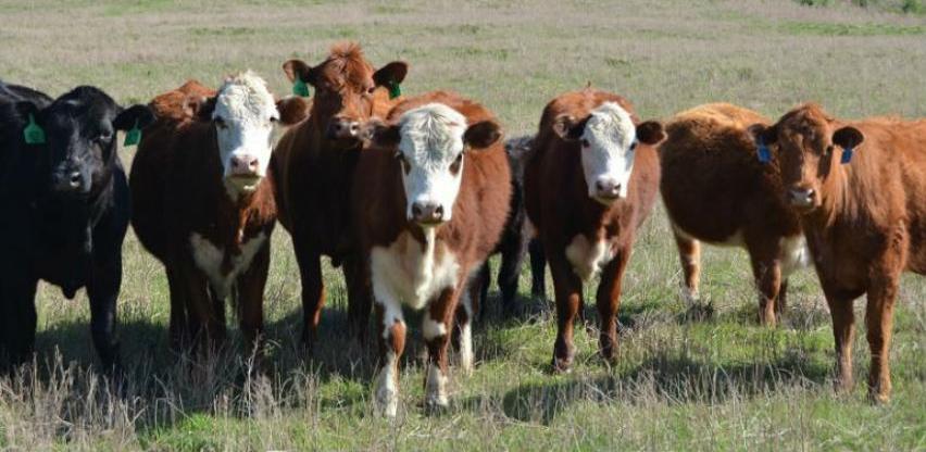 1b553f17 d2ab 4b6d ae91 79392f156119stocarstvo