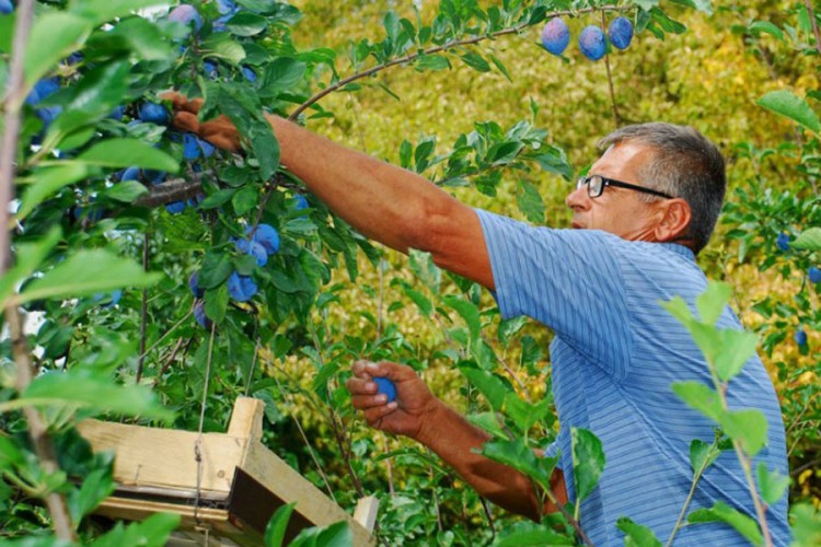 20210818091024 676531