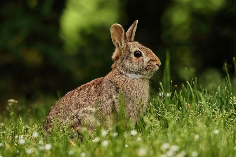 20210818140311 676608