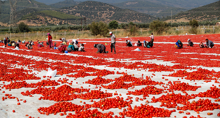 20210821 2 49707967 68091756 Web