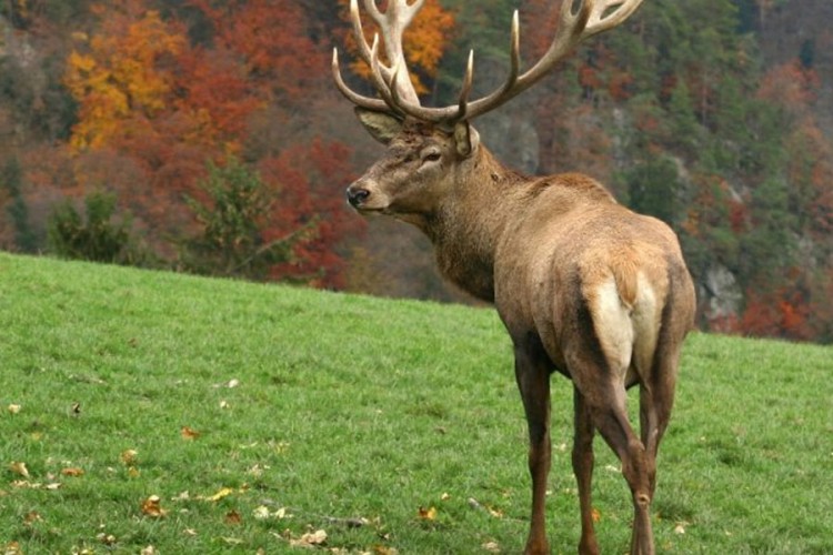 20210827221754 678199