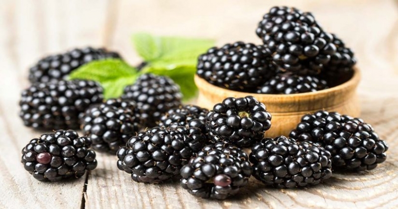 2359b27d7695196e21c71d08f2dde7e0