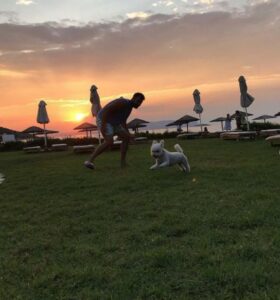 2687653 rad ff 750x805 1