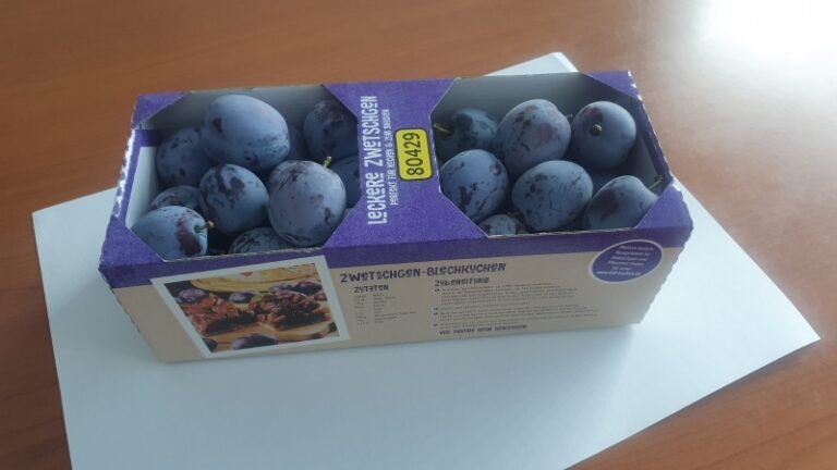 Veliki problemi za izvoznike šljive i kornišona: Jedna firma sedmično gubi više od 50.000 KM