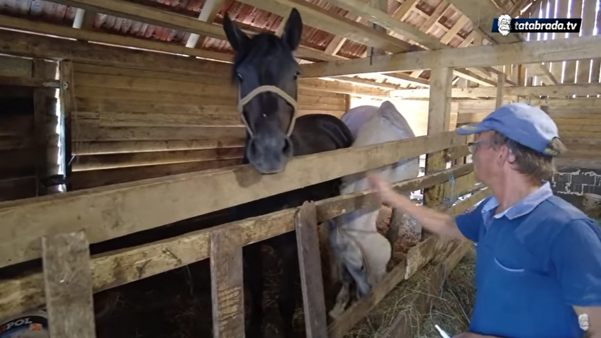 4D551B69 3F89 4F04 904B 950C6B980513