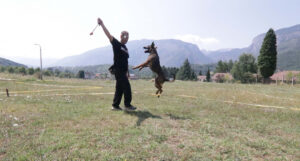 557DBE8E 7AE9 462D B20B 9259B18C0092