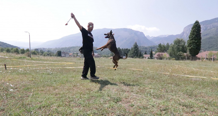 557DBE8E 7AE9 462D B20B 9259B18C0092