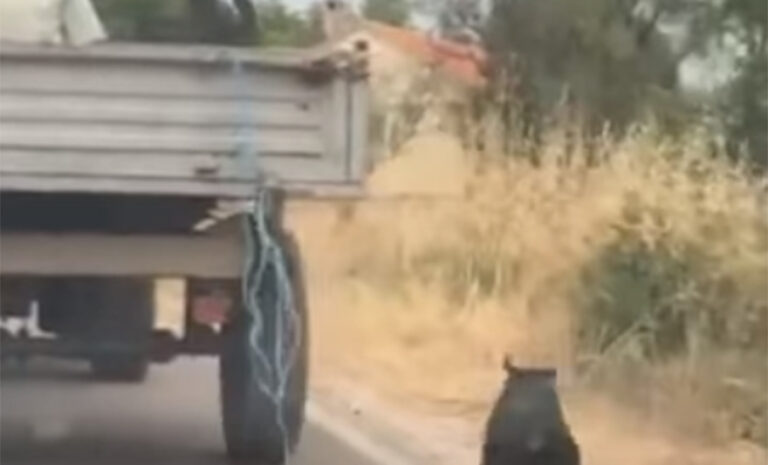 Zavezao psa za traktor i vukao ga, snimak razbjesnio region