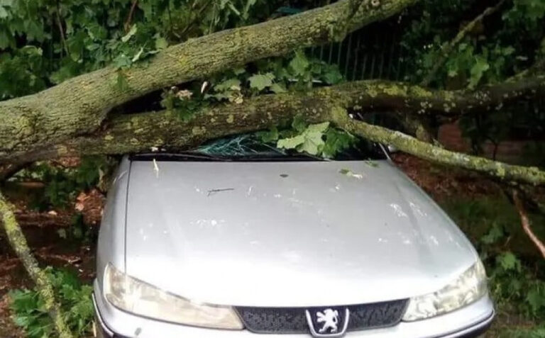 BiH: Vjetar čupao stabla i dizao krovove u zrak