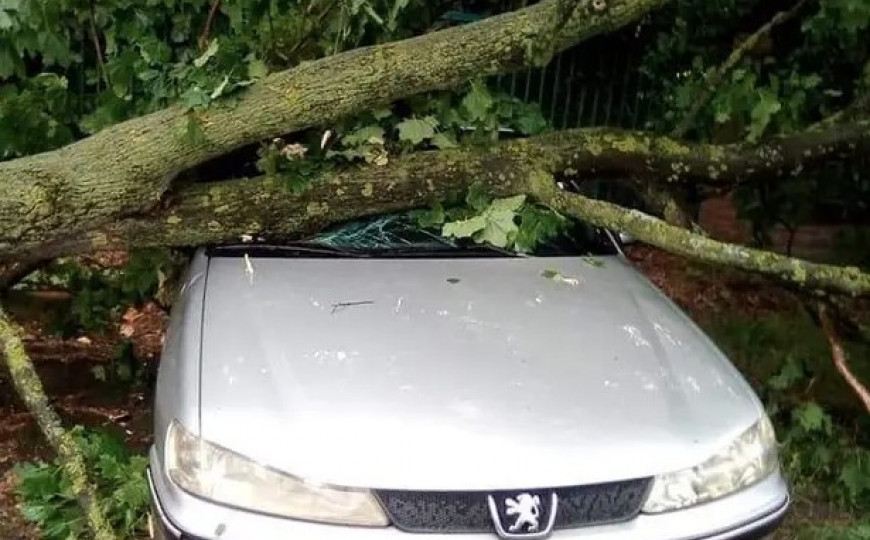 95FC1E40 17BB 4E3A 926A C6E8C81B3CFE