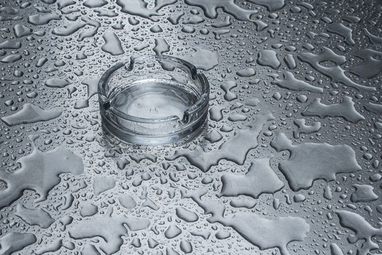 CBFD9ED9 6638 4173 A937 0F32E3AC0F92