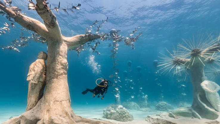 EB5AADFB CAC6 466D 8F56 8E0D9B766873