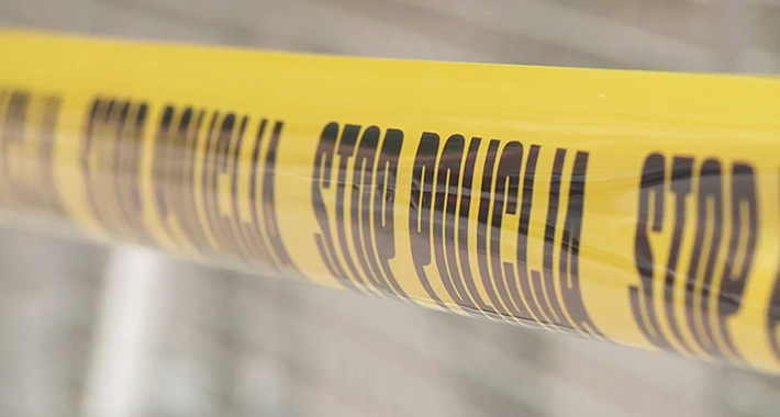 F8E16786 CDA9 44CE B6D1 FA6D787DD8D6