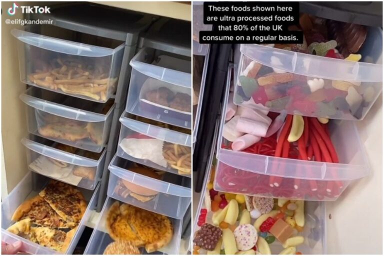 Pogledajte kako je nakon dvije godine “stajanja” u špajzi izgledala brza hrana