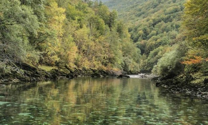 foto Rafting Tarom 696x418 1