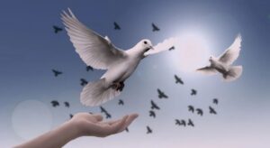 golubice ilustracija avg3 pb