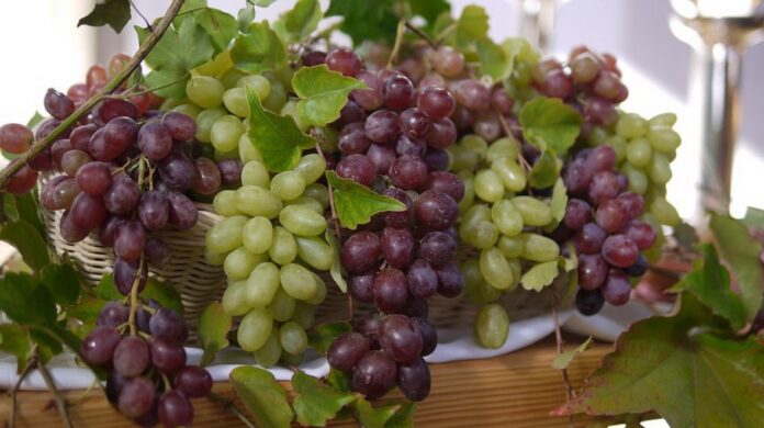 grozdje grozde pixabay