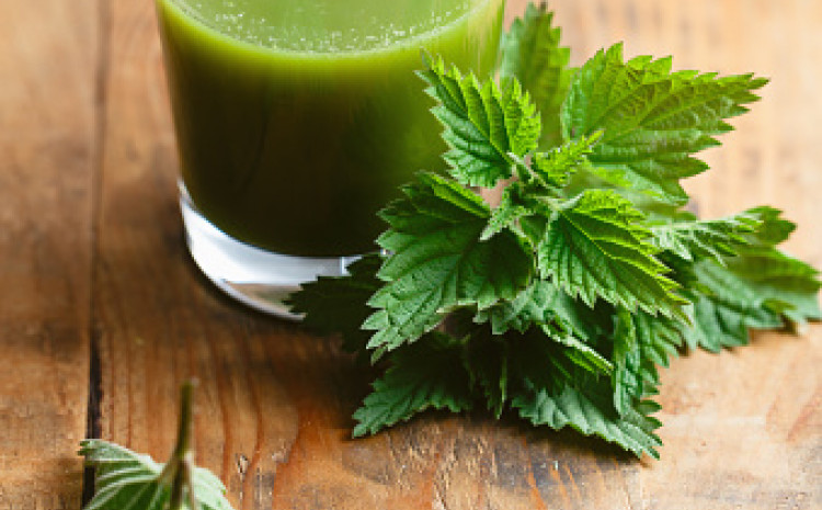 Kako sok od koprive jača imunitet