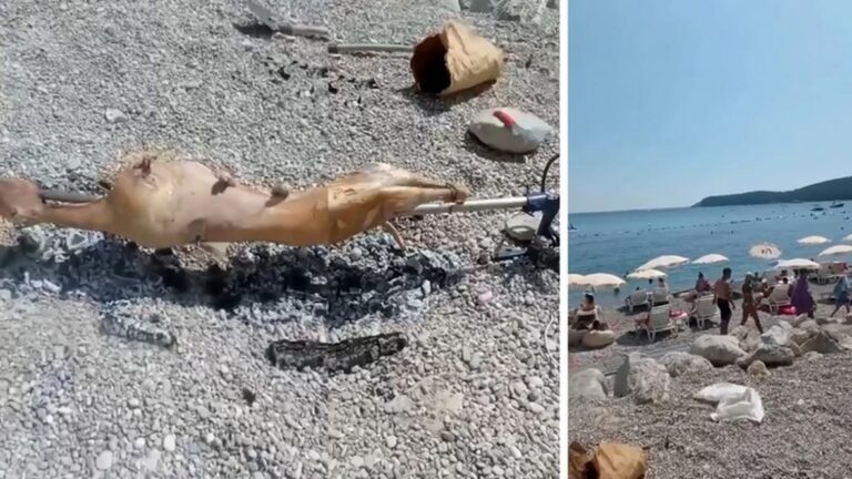 Nevjerica na plaži kod Budve: Pored kupača okrenuo jagnje na ražnju