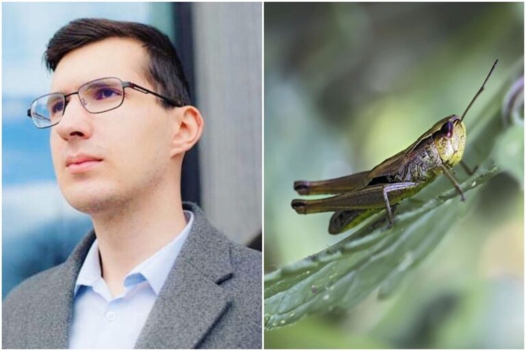 Evo kako je Sladić došao do formule koja je zaludila internet