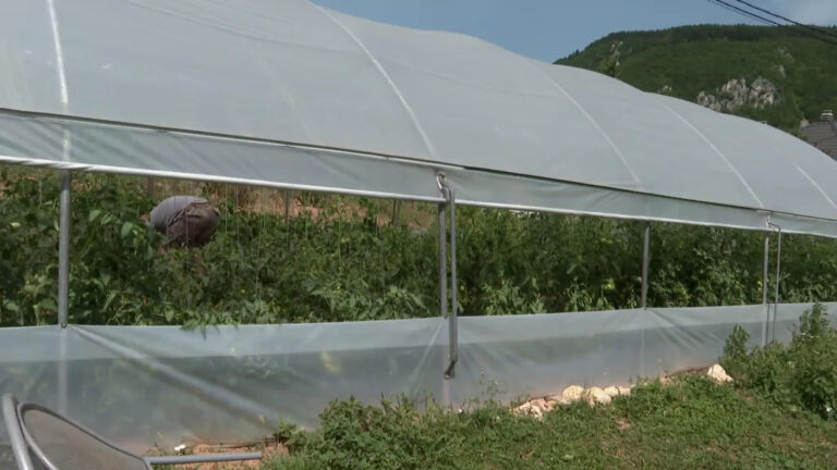 Suša nanijela štetu višu od milijarde KM, slijedi povećanje cijena