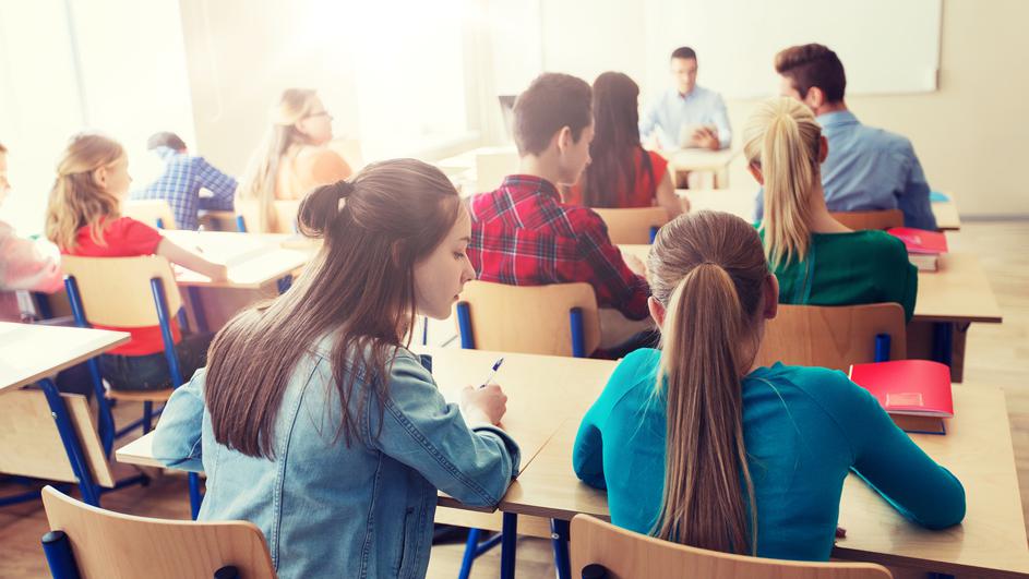 test ucenici pitanja