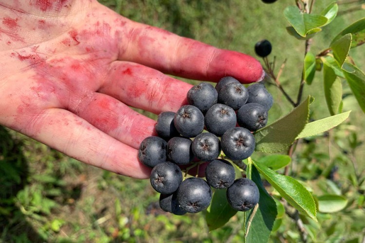 20210905121912 679427