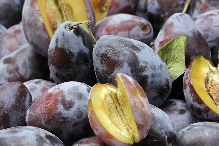 20210914112258 680892