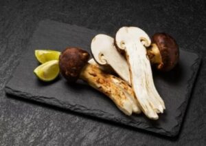 5afc02e3114310aa2e2db8cad89c2363