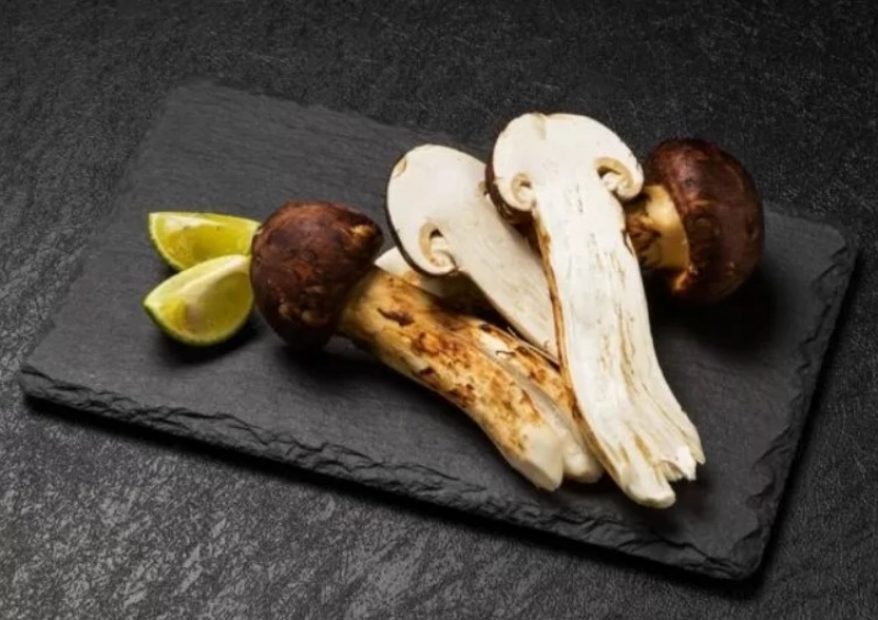 5afc02e3114310aa2e2db8cad89c2363