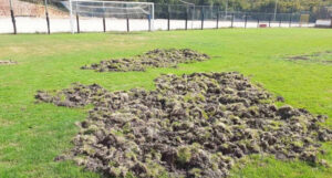 5d8fd9d808a5d8bfd66806df65bf342f L