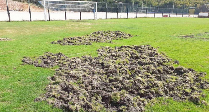 5d8fd9d808a5d8bfd66806df65bf342f L