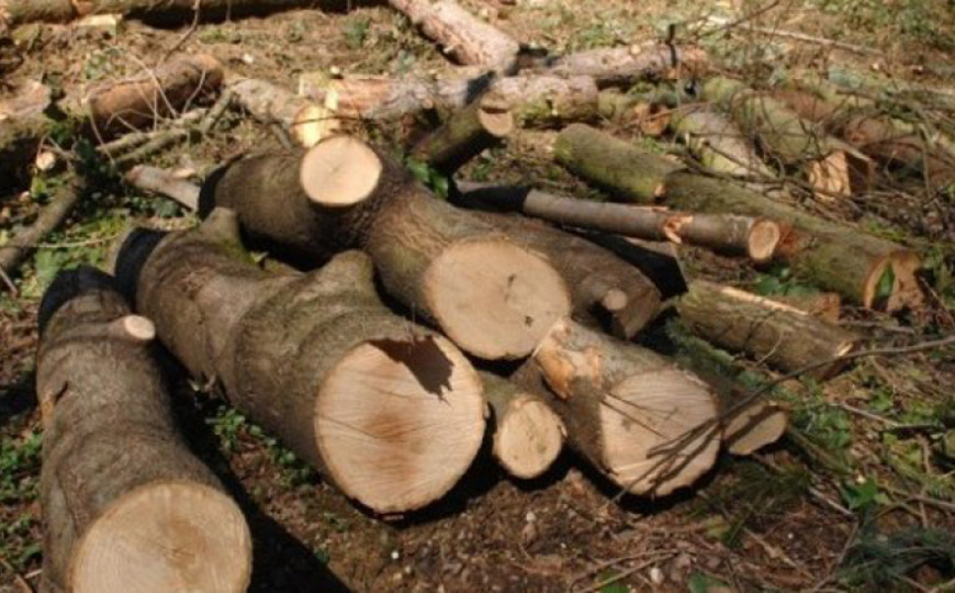 A6436A59 1A58 48E2 A0DF 6236D5B3C4D1