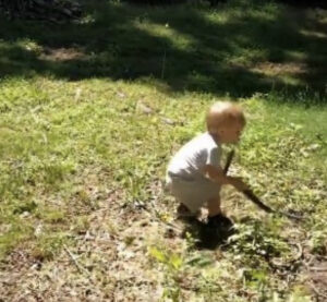 C5D84E3C EEC2 412C A139 480F860DAE7D