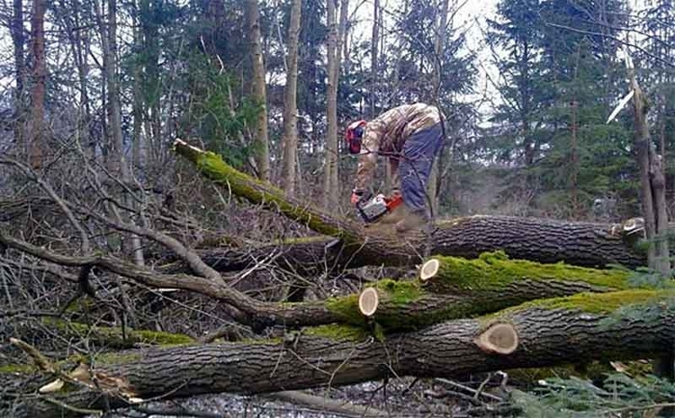 CD4514C3 3022 427C A054 BE97E43BCD37