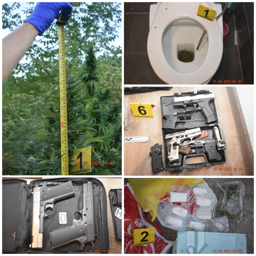 D04A9DCE A551 4BBB B444 2BD44793448E