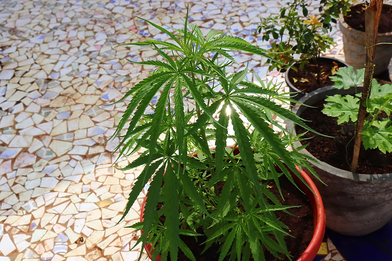 E5AEF99A 1085 47DF AADA 8F466723E3E5