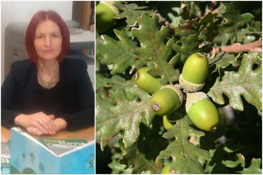 Mirzeta Memisevic hodzic septembar2021 AA22