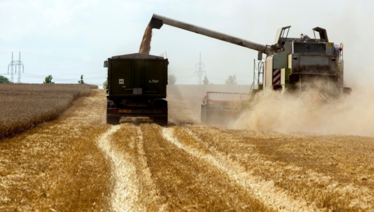 Poljoprivreda pod neviđenim udarom, očekuju se gubitak poslova i poskupljenja