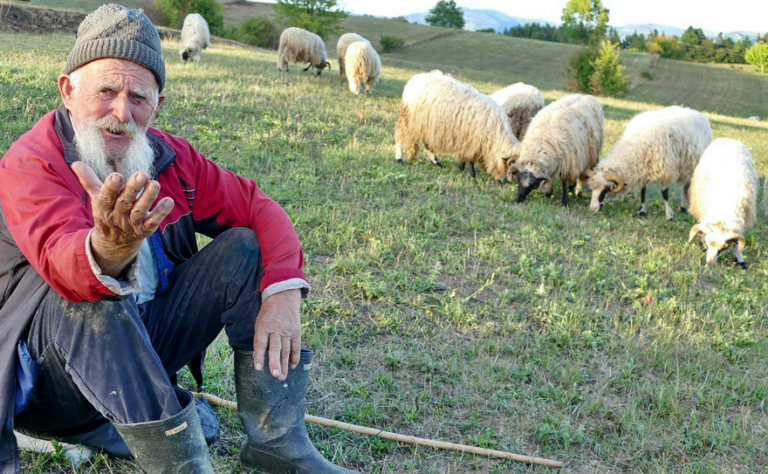 Najstariji ovčar u BiH: Glavni gazda sam bio u svom selu