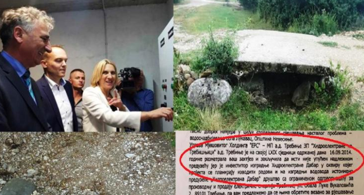 avdalovic naslovna 1