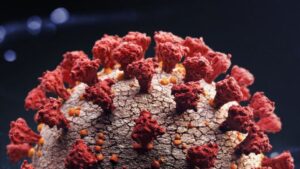 covid koronavirus sarscov2 BBC