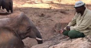 e5ffe614d4913436d58cba4b0512a753