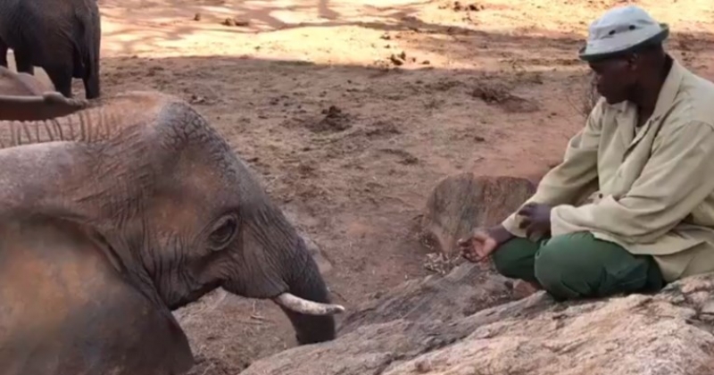 e5ffe614d4913436d58cba4b0512a753