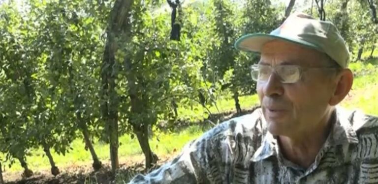 Zašto je Edib Balić uništio svoj zasad kruške: “Nema od toga ništa…”