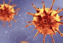 koronavirus ilustracija