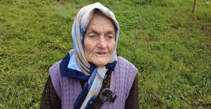 nana zehta muratovic 3 696x360 1