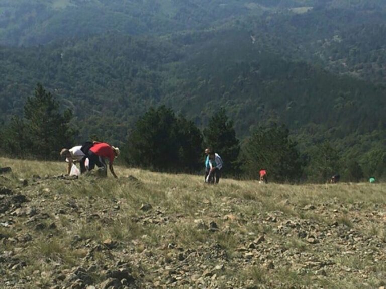 Krenuli da beru čaj pa se potukli ispod šatora: Ranjena jedna osoba