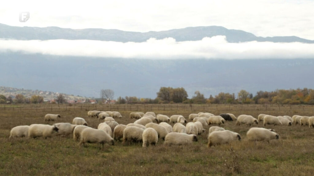 portal hd00 01 40 19still1833 1631134590